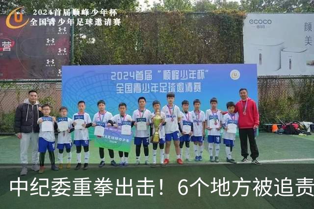 中纪委重拳出击！6个地方被追责问责