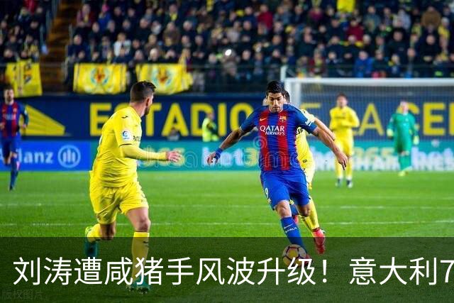 刘涛遭咸猪手风波升级！意大利73岁老头多次越界，受害者不止一个