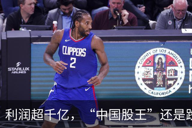 利润超千亿，“中国股王”还是跌疼了股民