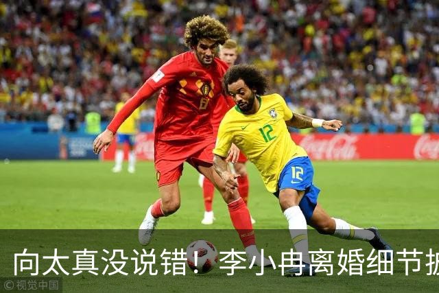 向太真没说错！李小冉离婚细节披露，跟前夫被执行2111万没有关系