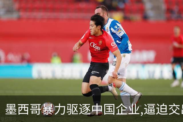 墨西哥暴力驱逐中国企业,逼迫交出核心技术,听到我们表态后傻眼了