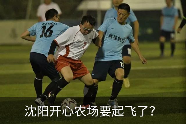 沈阳开心农场要起飞了？