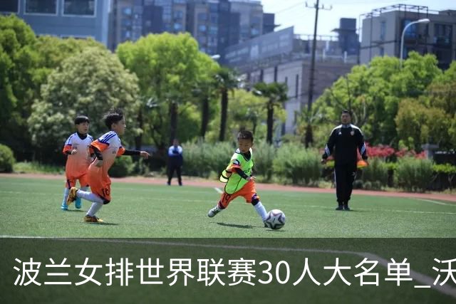 波兰女排世界联赛30人大名单 沃沃什斯蒂夏克领衔