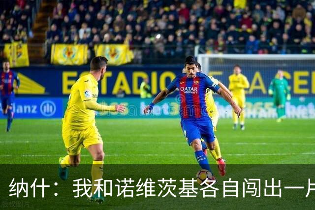 纳什：我和诺维茨基各自闯出一片天 最终成为一生挚友&这意义非凡