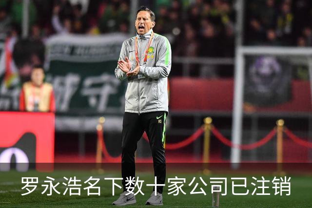 罗永浩名下数十家公司已注销