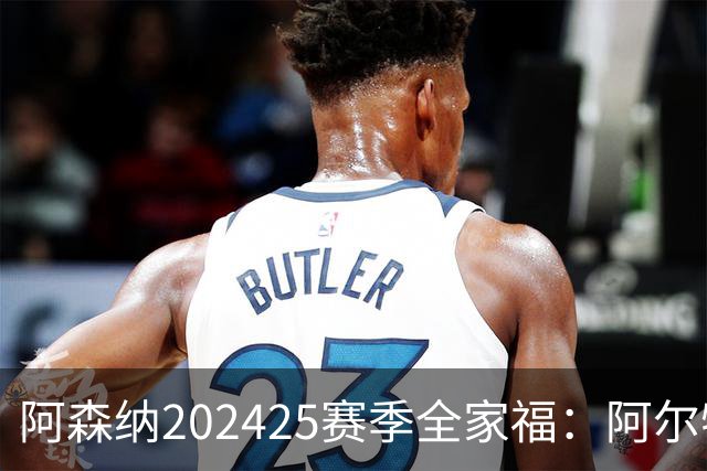 阿森纳2024/25赛季全家福：阿尔特塔&厄德高坐C位