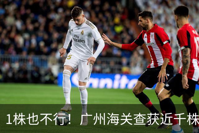 1株也不行！广州海关查获近千株盆栽，有625盆竟是“国宝级”植物